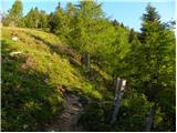 Planina Jezerca - Kompotela